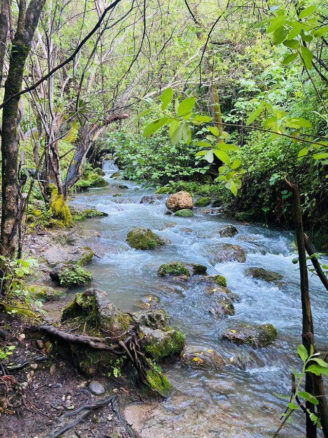 Apartamento Rural La Leyenda El Bosque Zewnętrze zdjęcie
